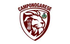 calcio camponogarese logo