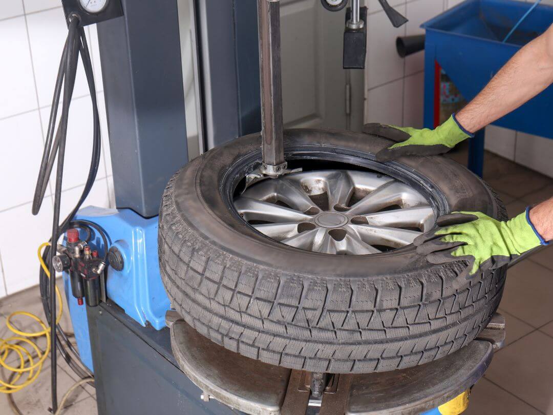 vendita gomme camponogara